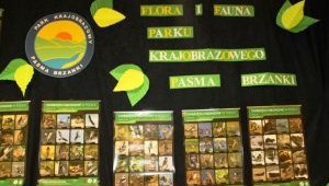 Konkurs wiedzy o Florze i Faunie Parku Krajobrazowego Pasma Brzanki